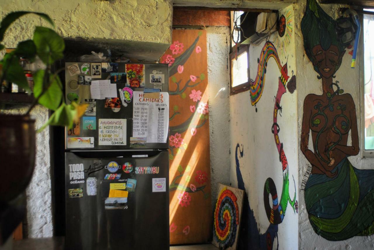Hostel Viejo Lobo Cabo Polonio Zewnętrze zdjęcie